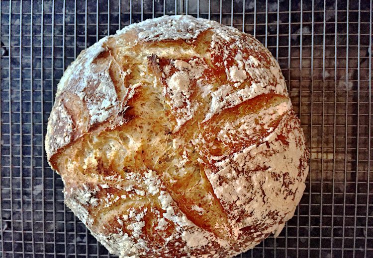 Bread Sour dough Sofia Franc SALT
